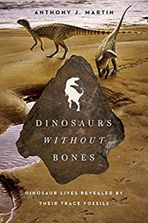 Dinosaurs Without Bones Hardcover Anthony J. Martin