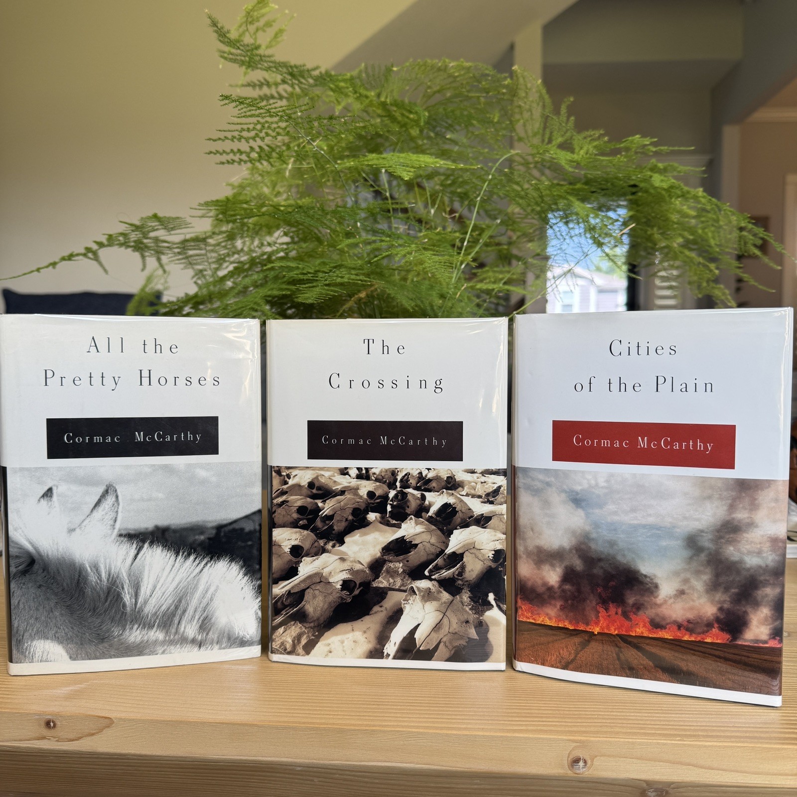 TRUE FIRST PRINTINGS! Border Trilogy by Cormac McCarthy. pretty horses, crossing