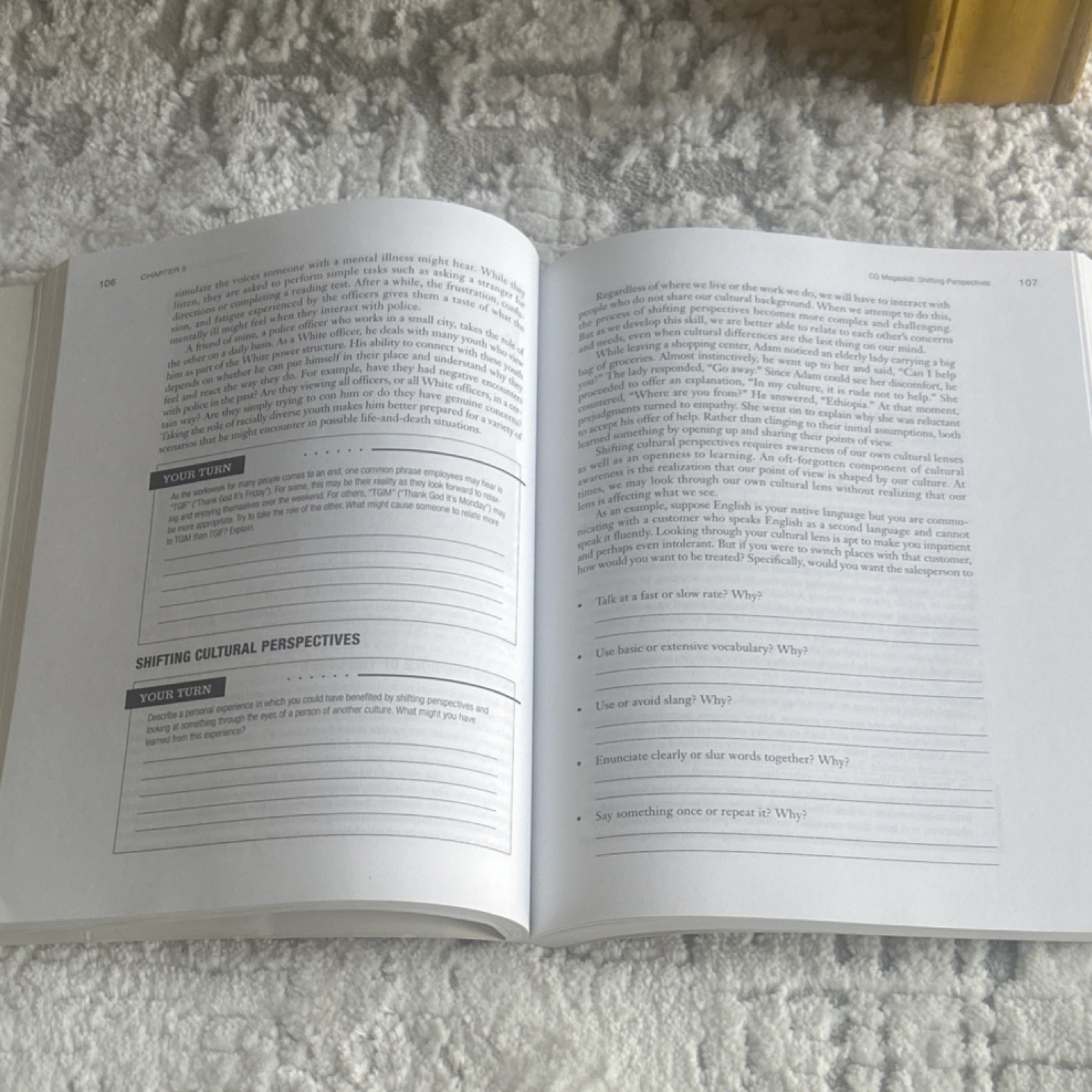 Building Cultural Intelligence (CQ): Nine Megaskills by Richard D. Bucher, Pape…