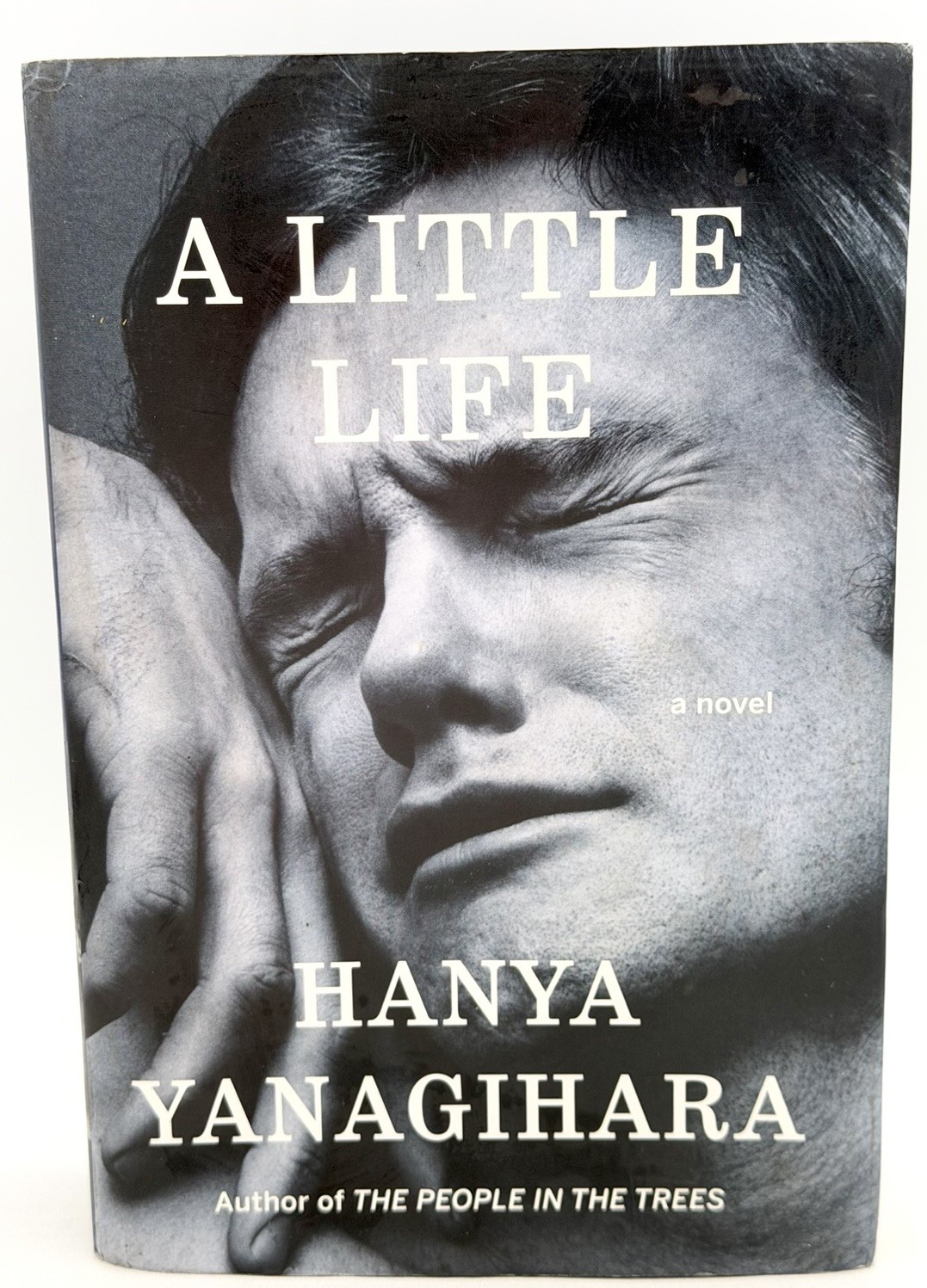 A Little Life by Hanya Yanagihara (2015, Hardcover) First Edition/Print, 1st/1st