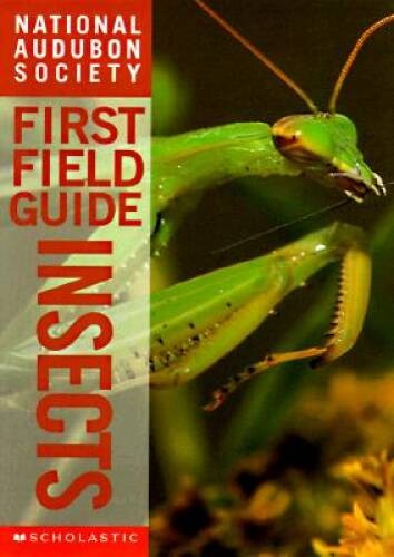 Insects (National Audubon Society’s First Field Guides) – Paperback – GOOD