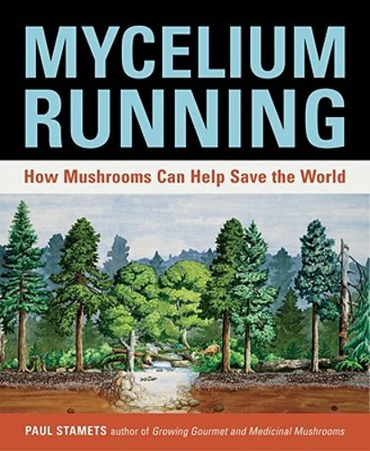 Mycelium Running: How Mushrooms Can Help Save the World by Paul Stamets: New