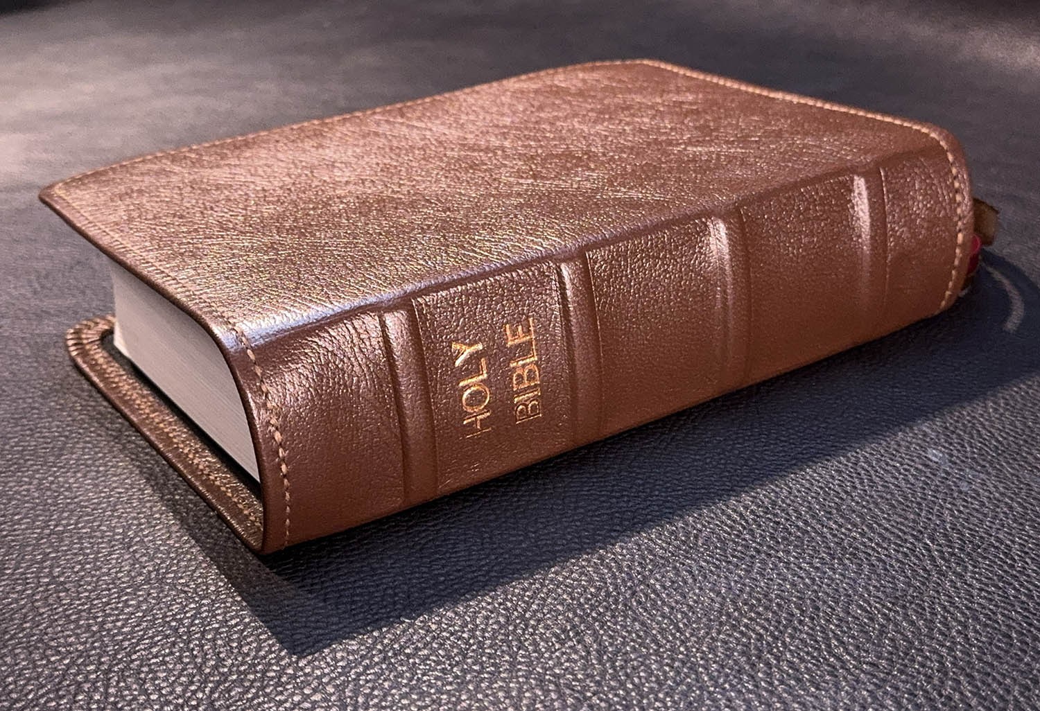 ESV Single Column Journaling Bible, Pebbled Brown Goatskin Leather, 4 Ribbons