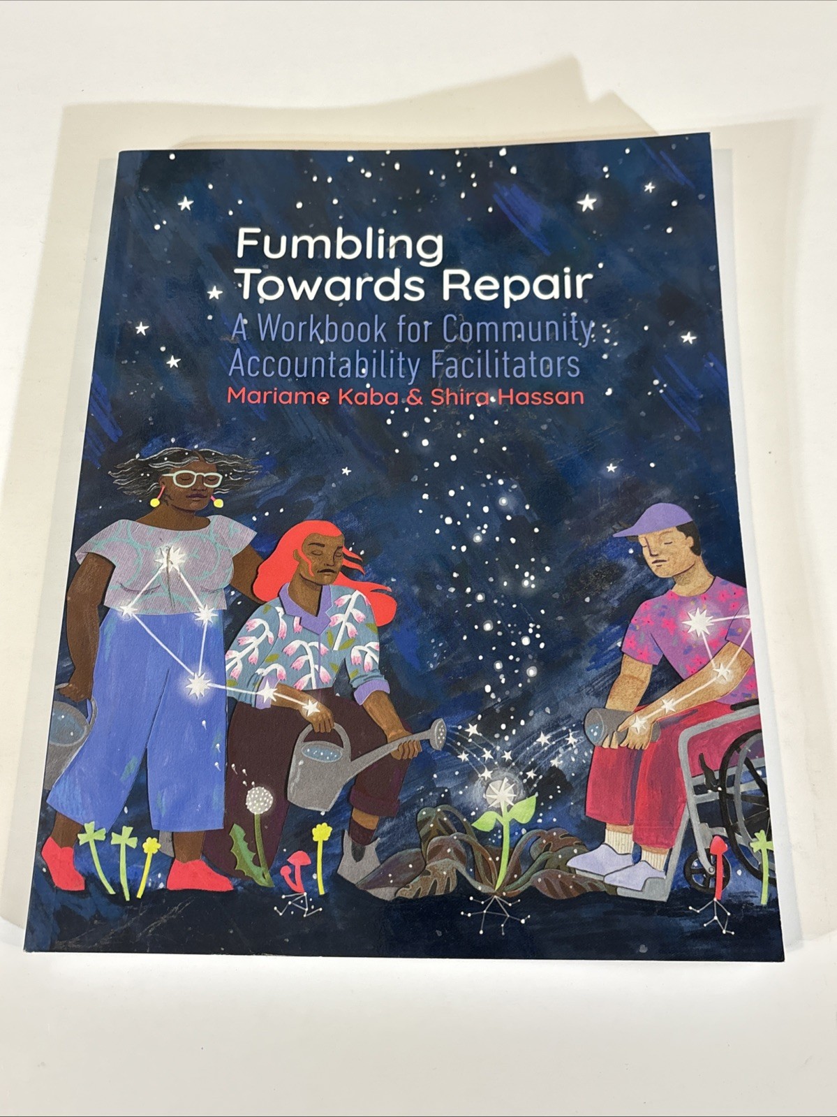 Fumbling Towards Repair : A Workbook for Community Accountability Facilitators
