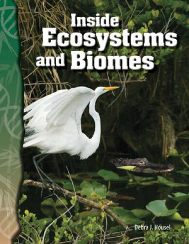 Inside Ecosystems and Biomes: Life Science (Science Readers) – Paperback – GOOD