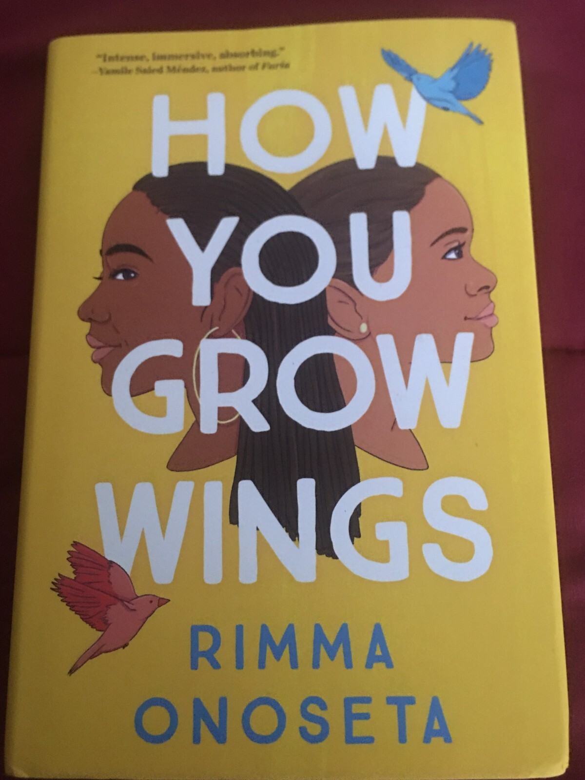 How You Grow Wings (Hardback or Cased Book)