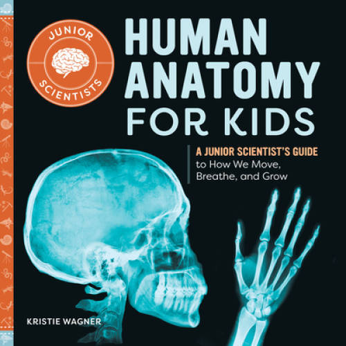 Human Anatomy for Kids: A Junior Scientists Guide to How We Move, Breath – GOOD