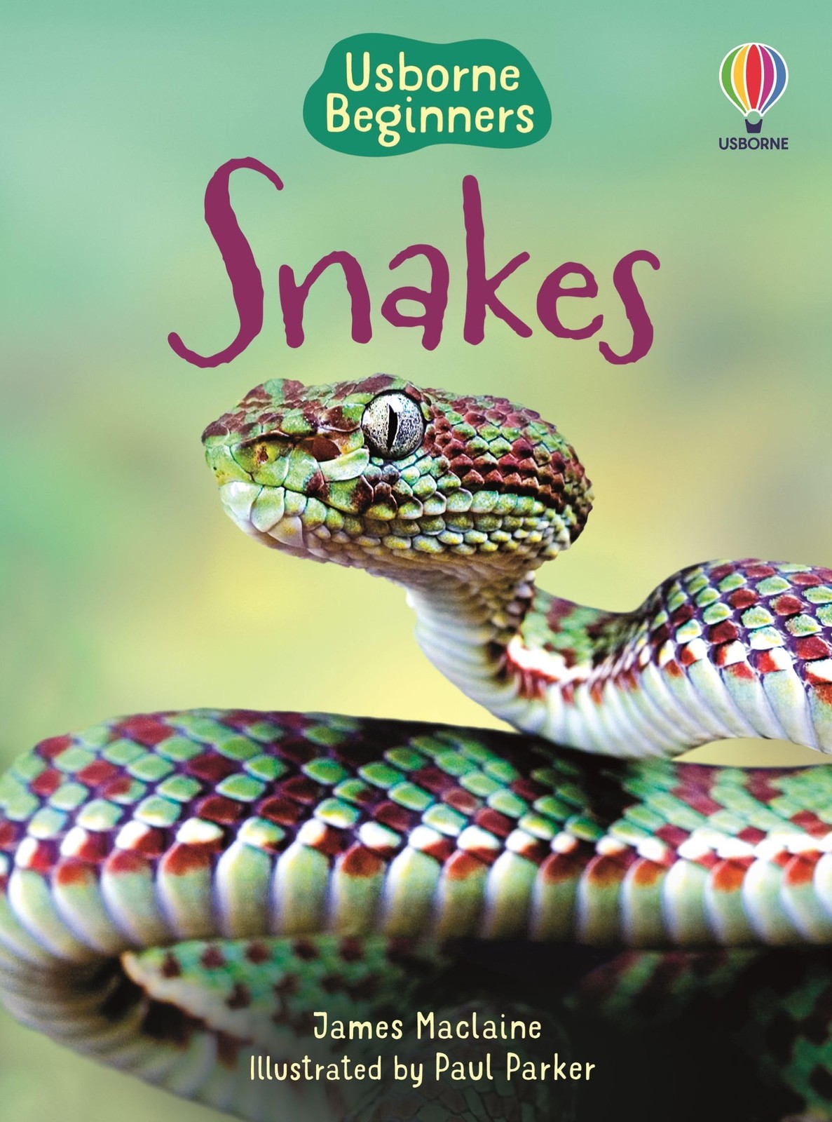 Snakes (Beginners) – hardcover Maclaine, James