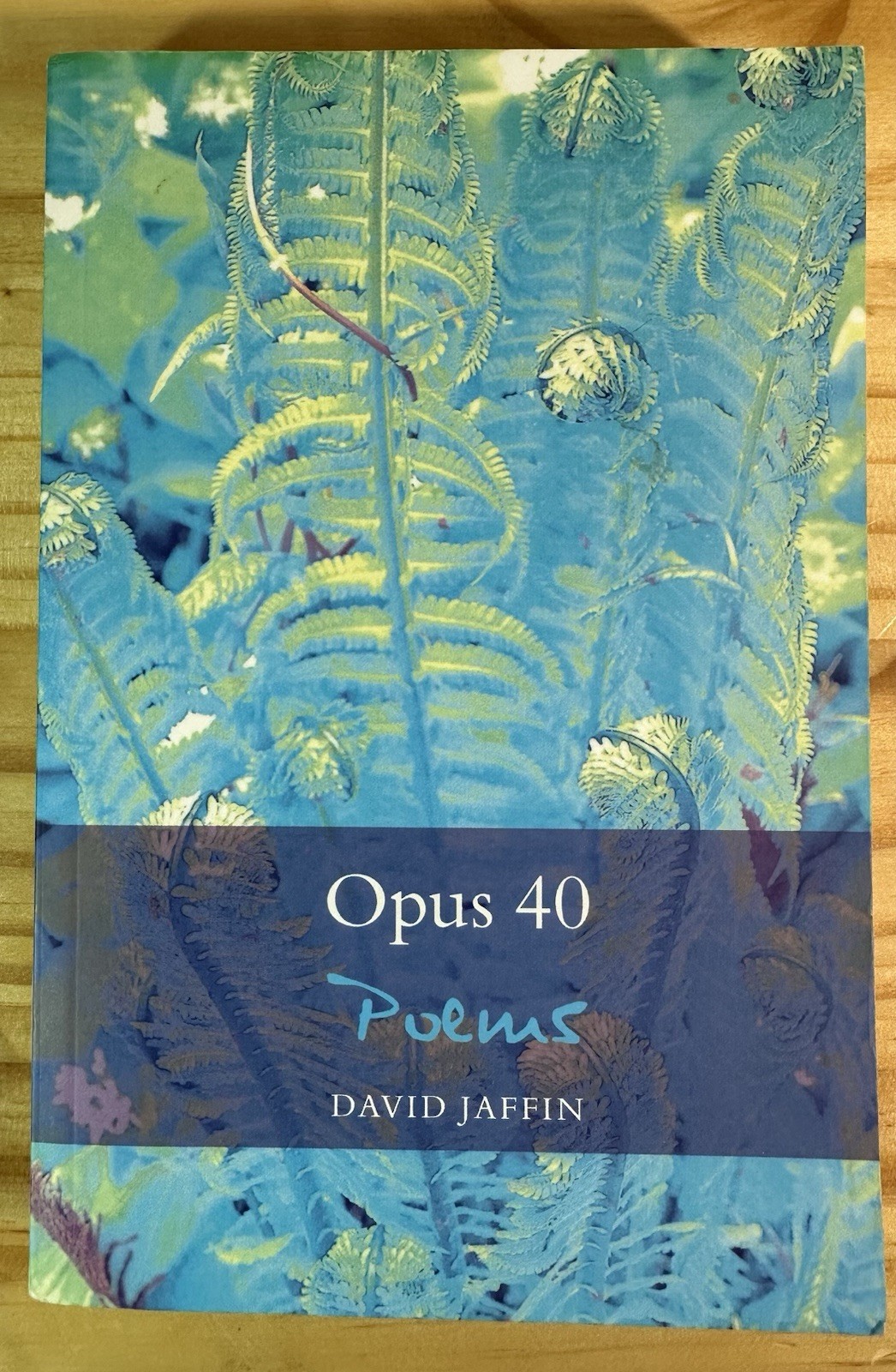 Untouched Silences, Jaffin, David, *New Sealed Book* + *Opus 40 Poems VG-Book*