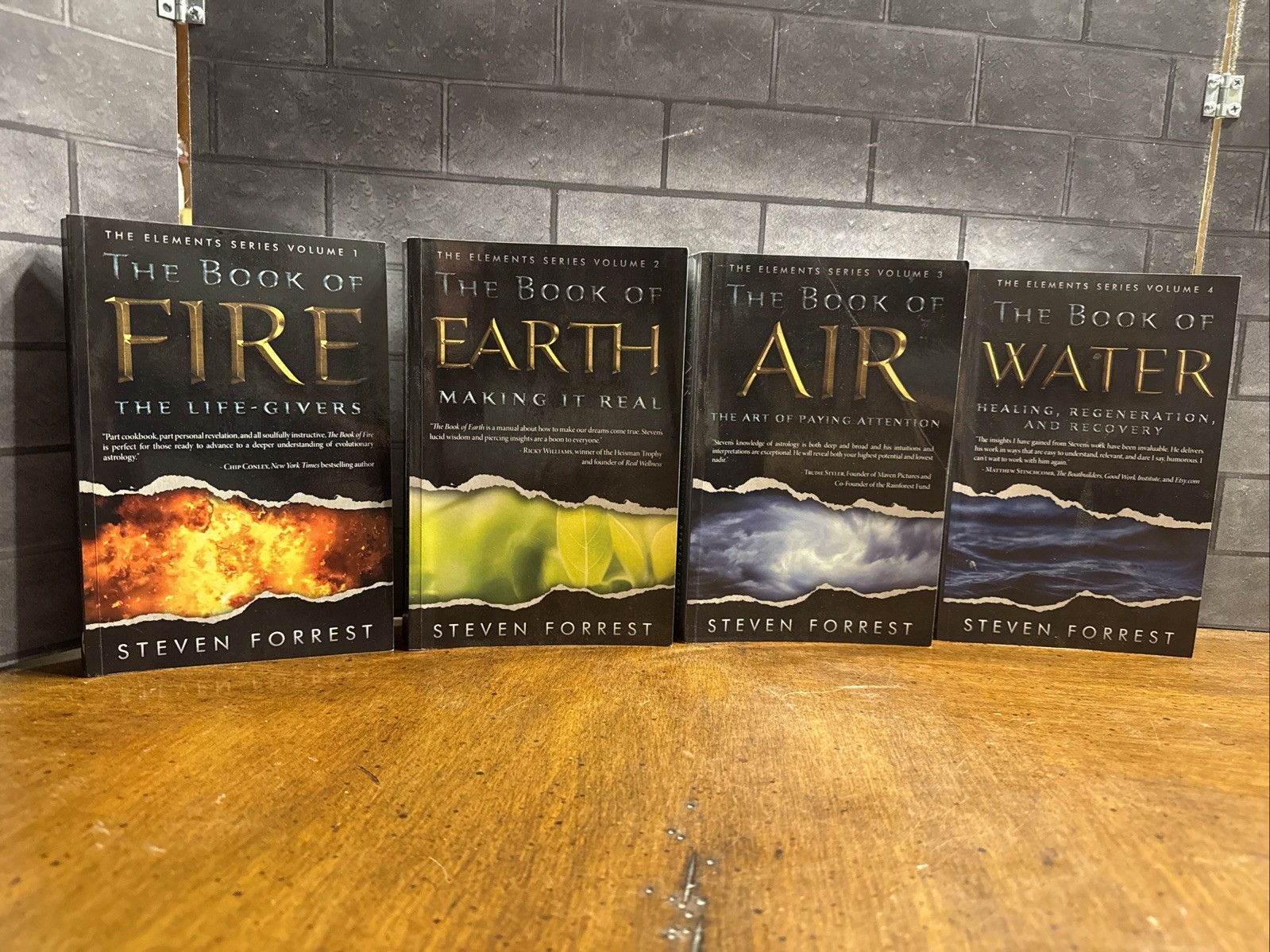 THE ELEMENTS SERIES by Steven Forrest~Vol. 1-4 Book of Fire, Earth, Air & Water