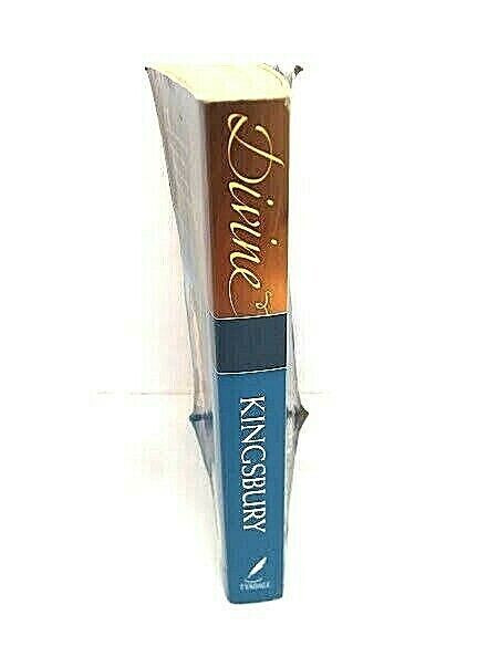 Karen Kingsbury Divine Book Novel 2006 Best Selling Author Fiction Paperback