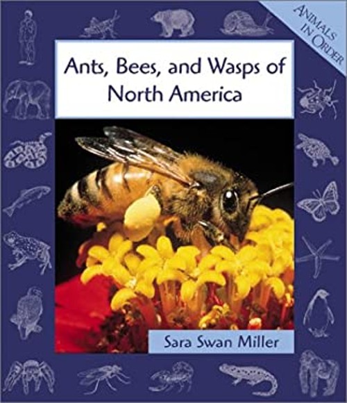 Animals in Order: Ants, Bees, and Wasps of North America Sara Swa