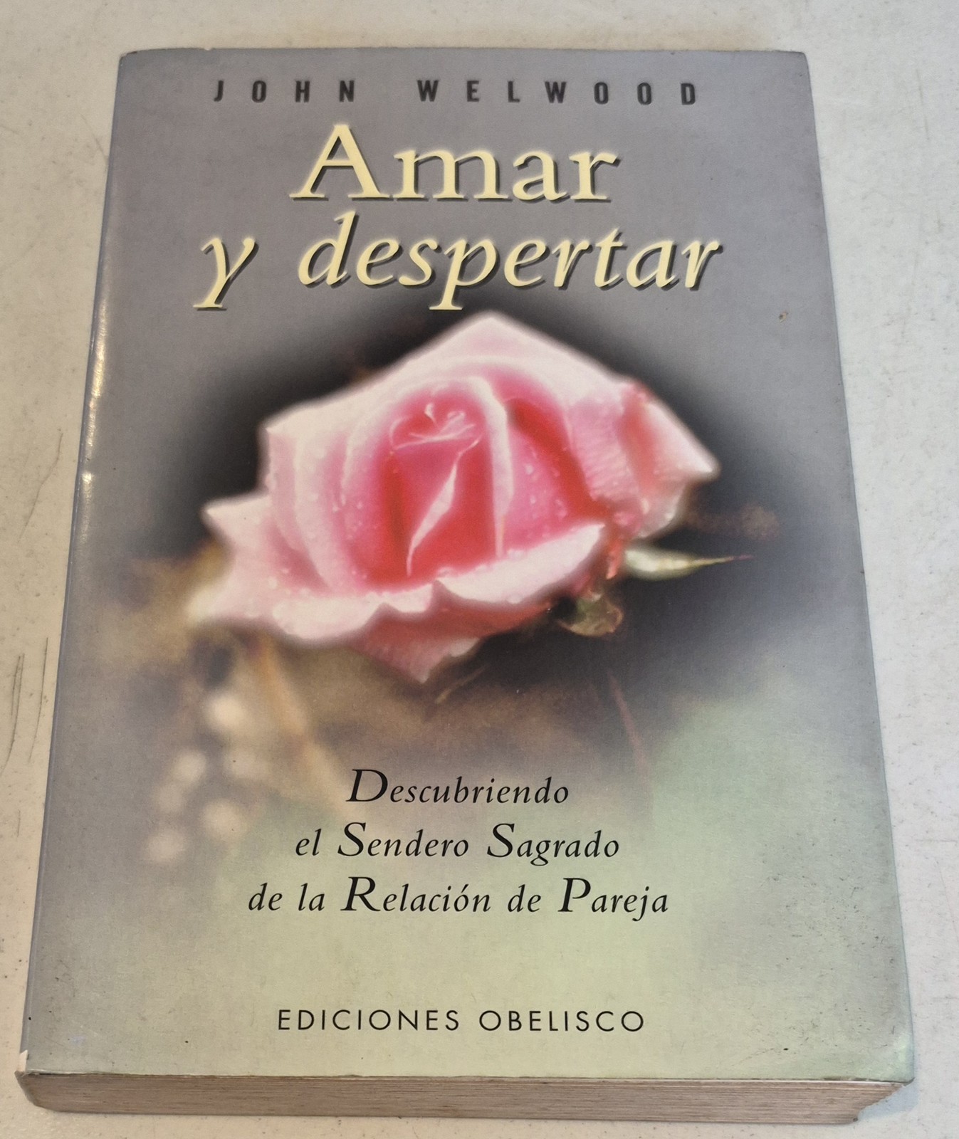 Amar y despertar (Spanish Edition)