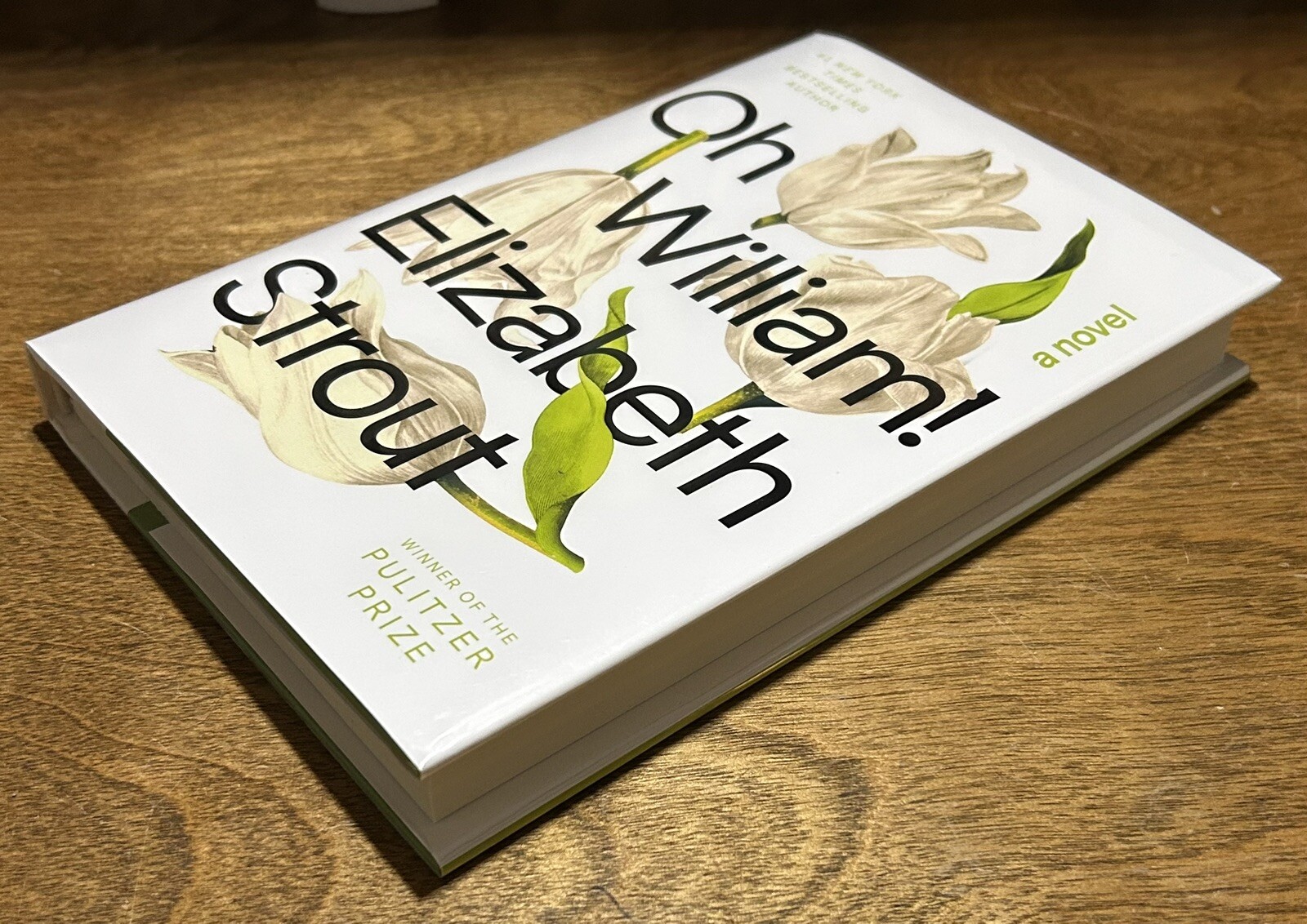 *SIGNED* Oh William! : A Novel by Elizabeth Strout 1st/ 1st Brand New