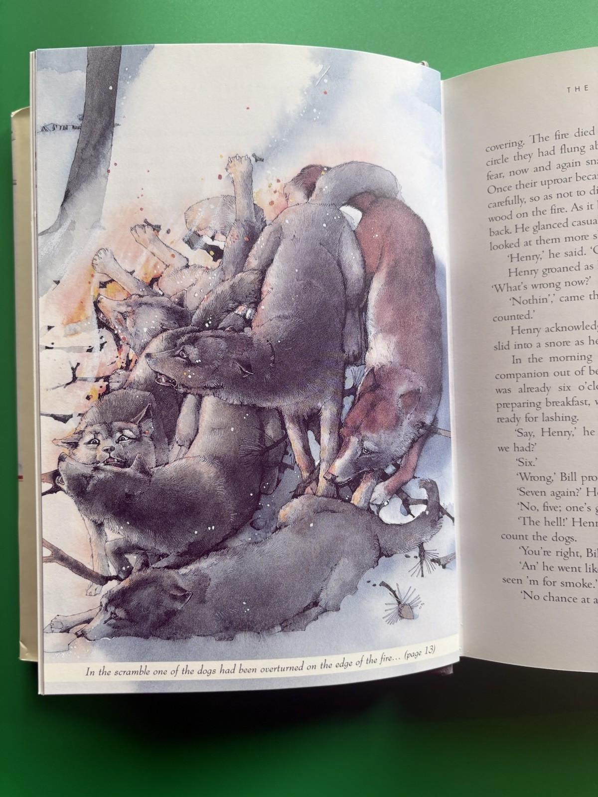 Jack London: White Fang HCDJ 2004 Borders Press Illustrated By Helen Ward