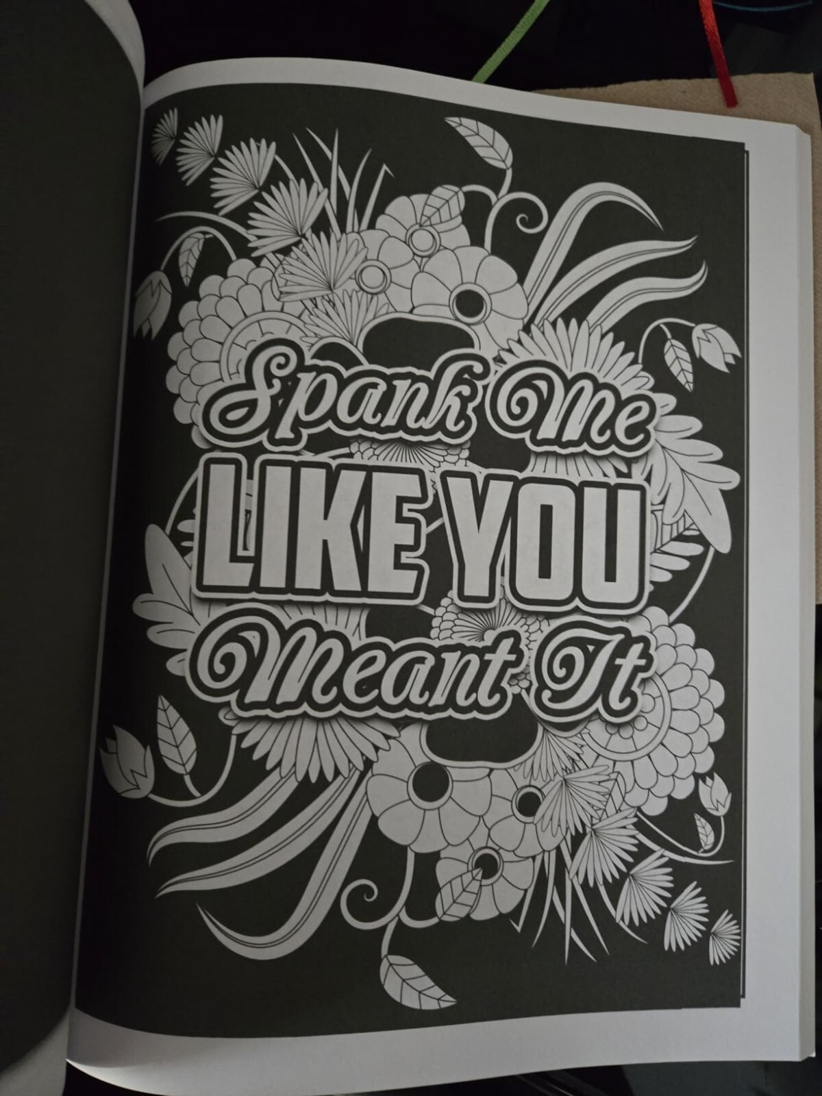 Swear Word Coloring Book for Adults Easy Midnight Edition Sweary Coloring Book