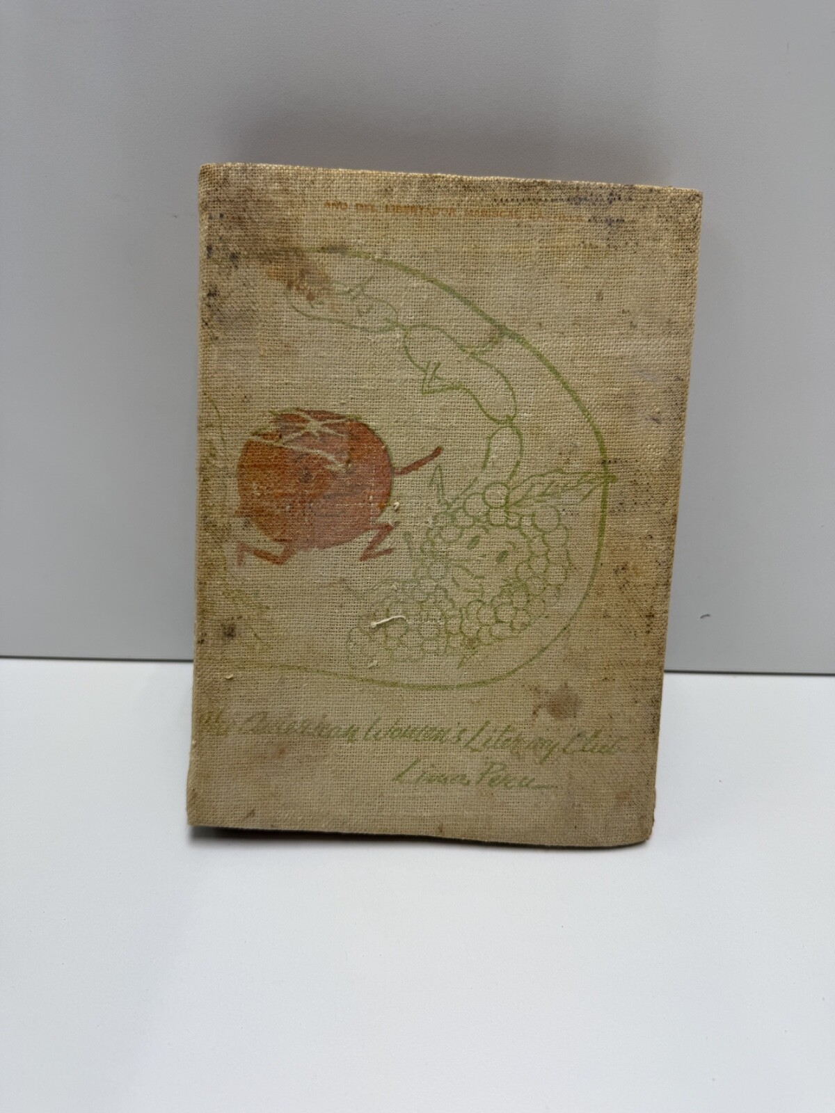 Cook Book – Libro de Cocina, Vintage Book, Spanish Language