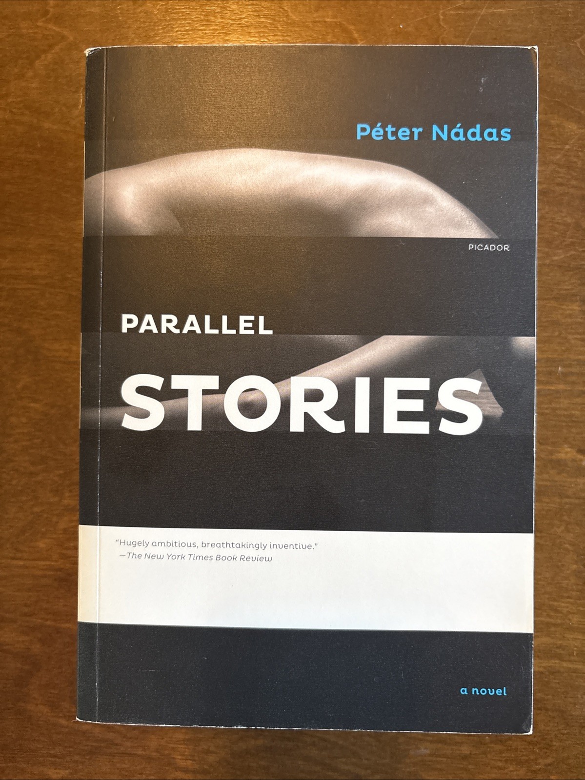 Parallel Stories : A Novel by Péter Nádas (2012, Trade Paperback)