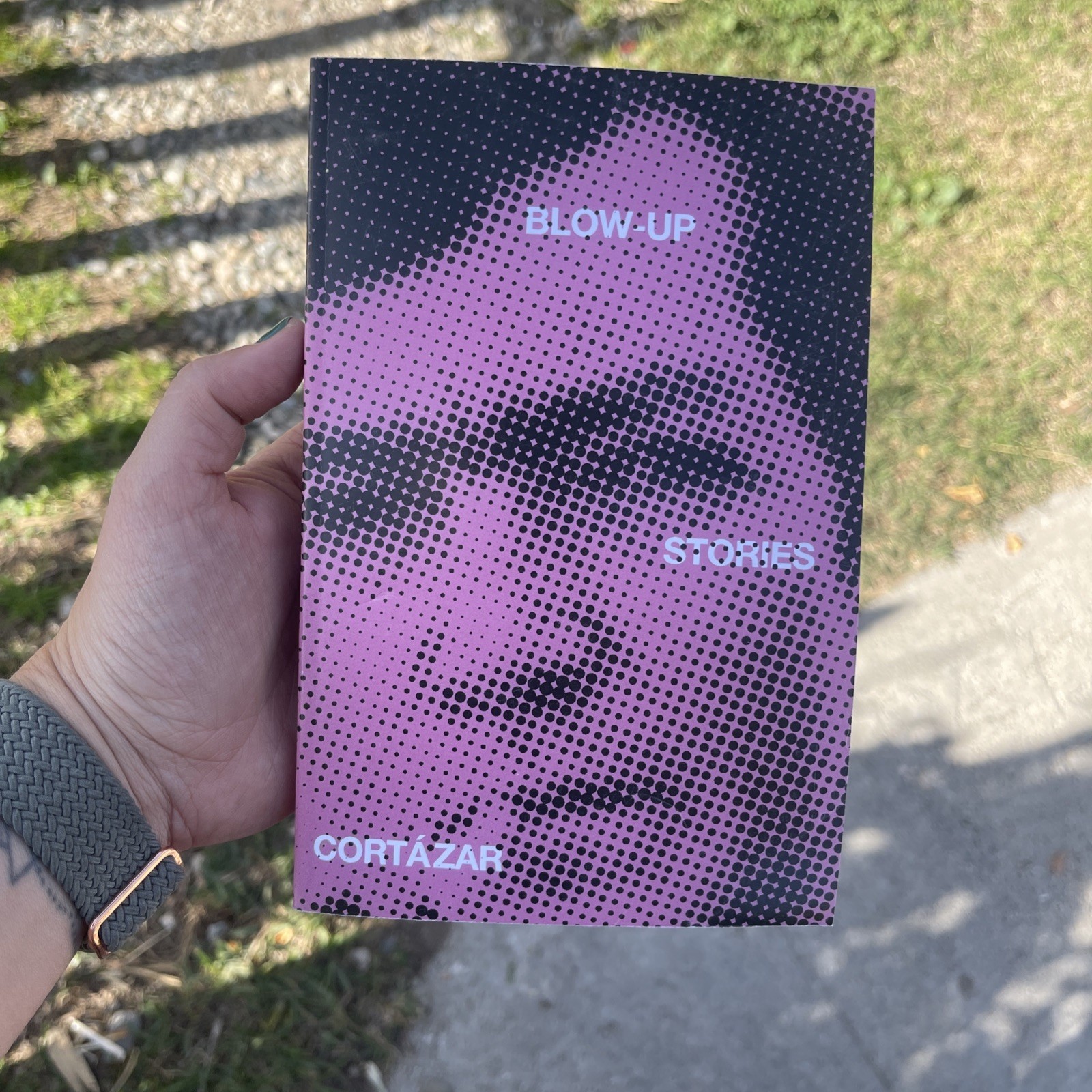 Blow-Up : And Other Stories by Julio. Cortázar (1985, Trade Paperback)