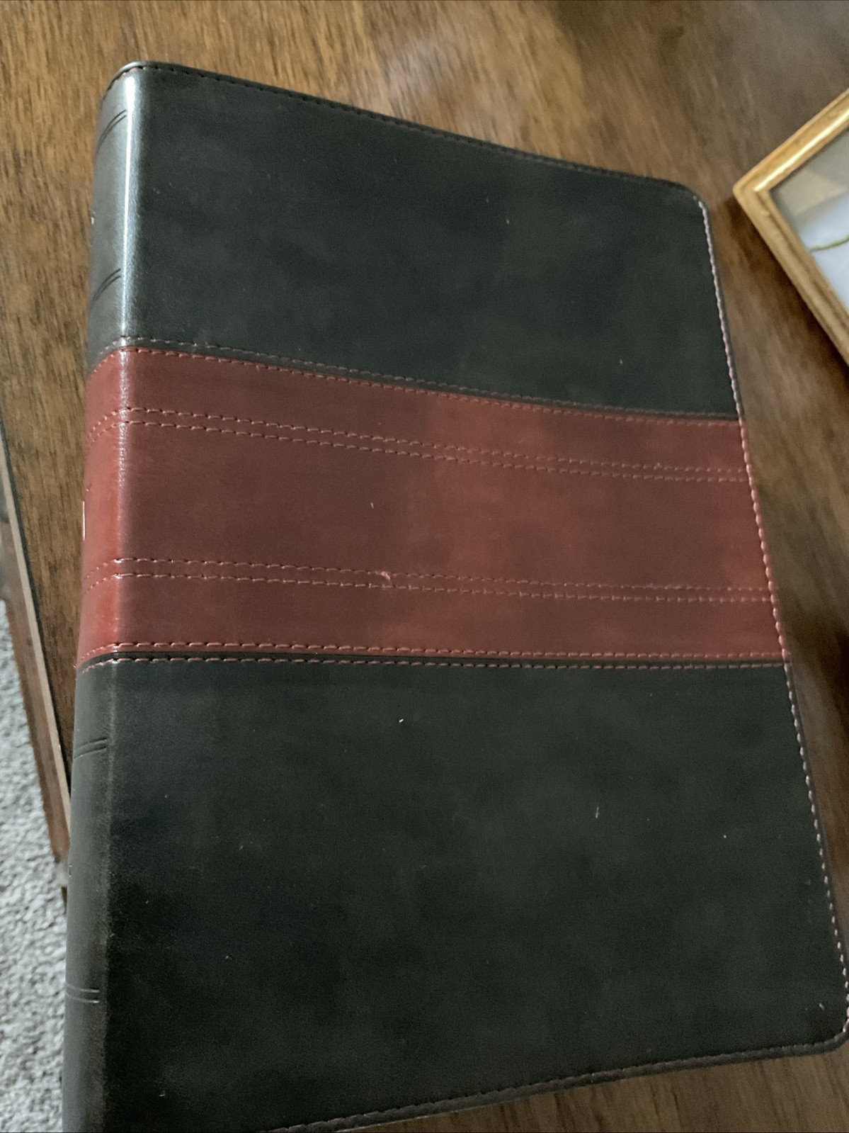ESV Study Bible, Large Print (TruTone, Forest/Tan, Trail Design) by Not…