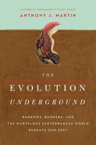 Anthony J. Martin The Evolution Underground (Paperback) (UK IMPORT)
