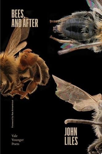 Bees, and After (Volume 119) (Yale Series of Younger Poets) – Liles, John