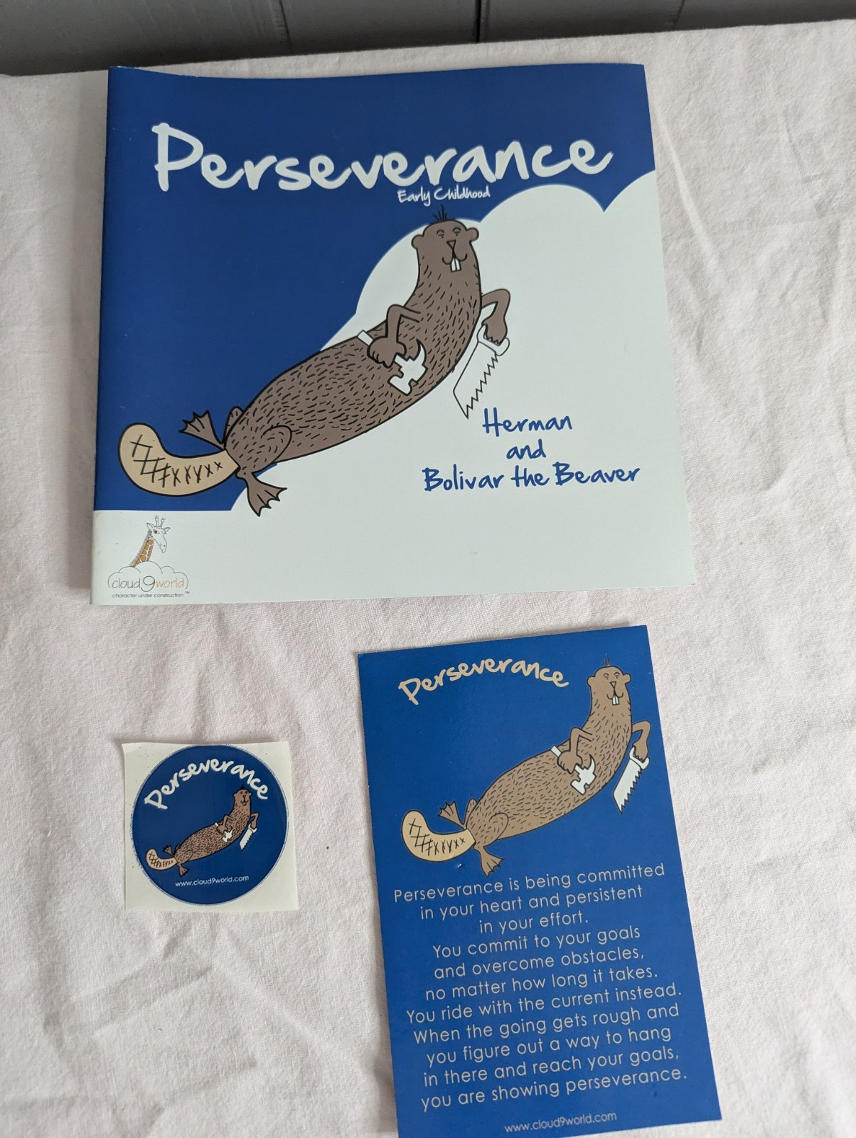 Home School Teachers Cloud 9 world character book PERSEVERANCE Kindergarten -1st