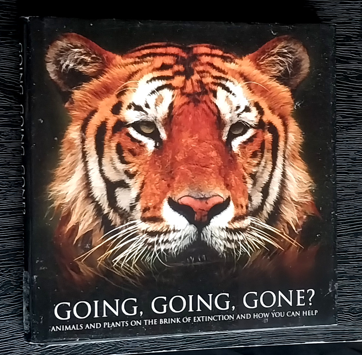 GOING, GOING, GONE? ANIMALS AND PLANTS BRINK OF EXTINCTION MALCOLM TAIT HC BOOK
