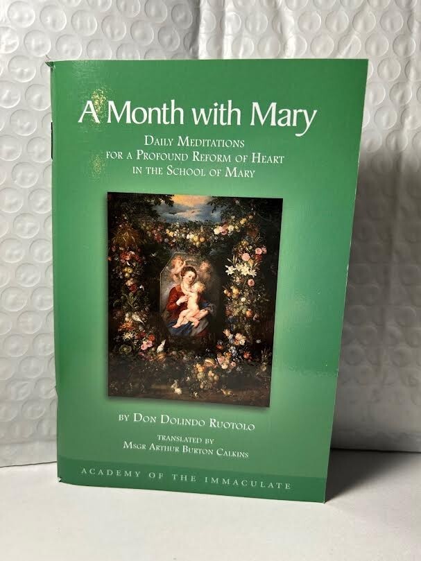 A Month with Mary: Meditations In the School of Mary ( NEW $4 ) Ship for $1.25