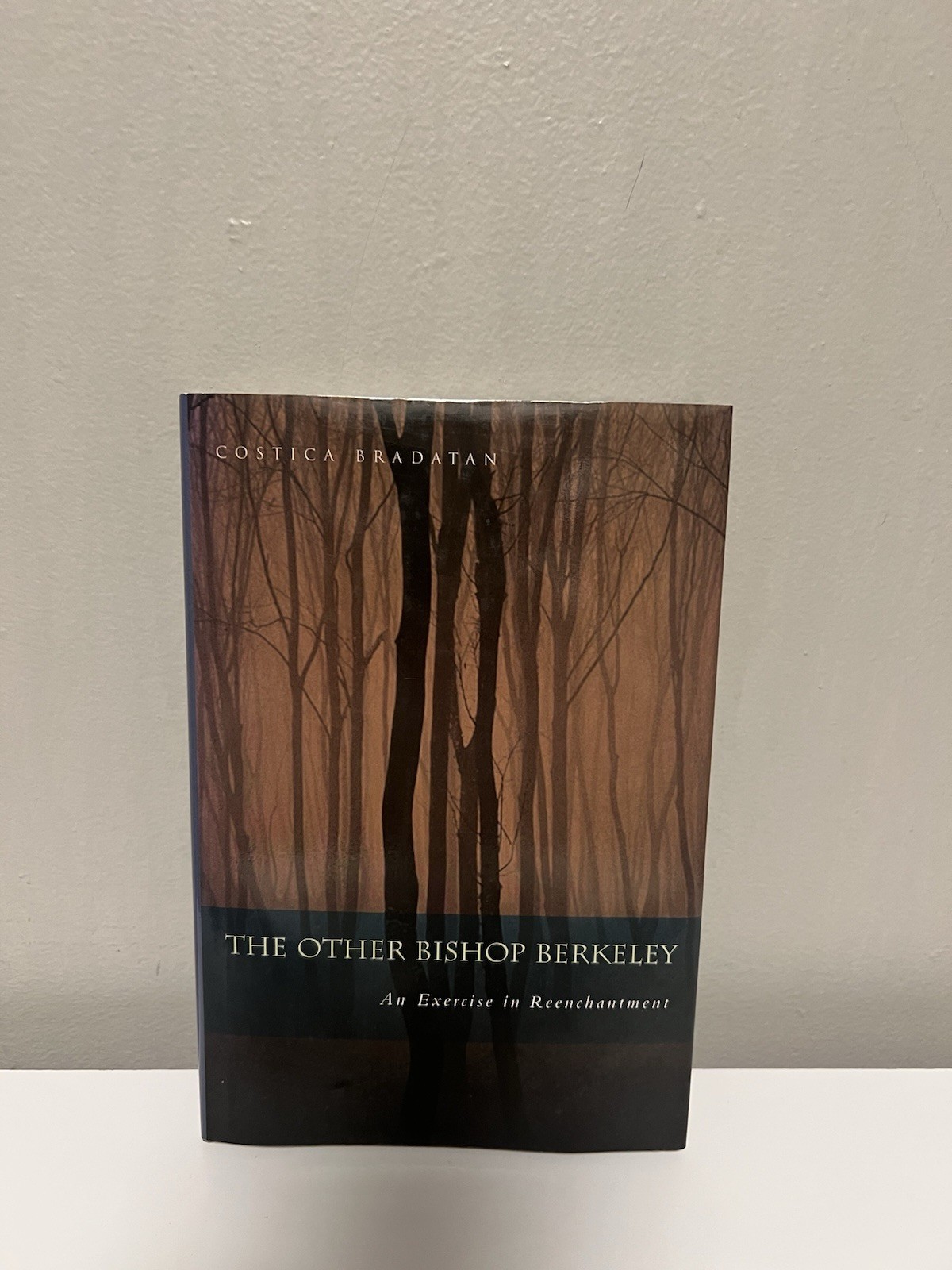 The Other Bishop Berkeley: An Exercise in Reenchantment by Costica Bradatan