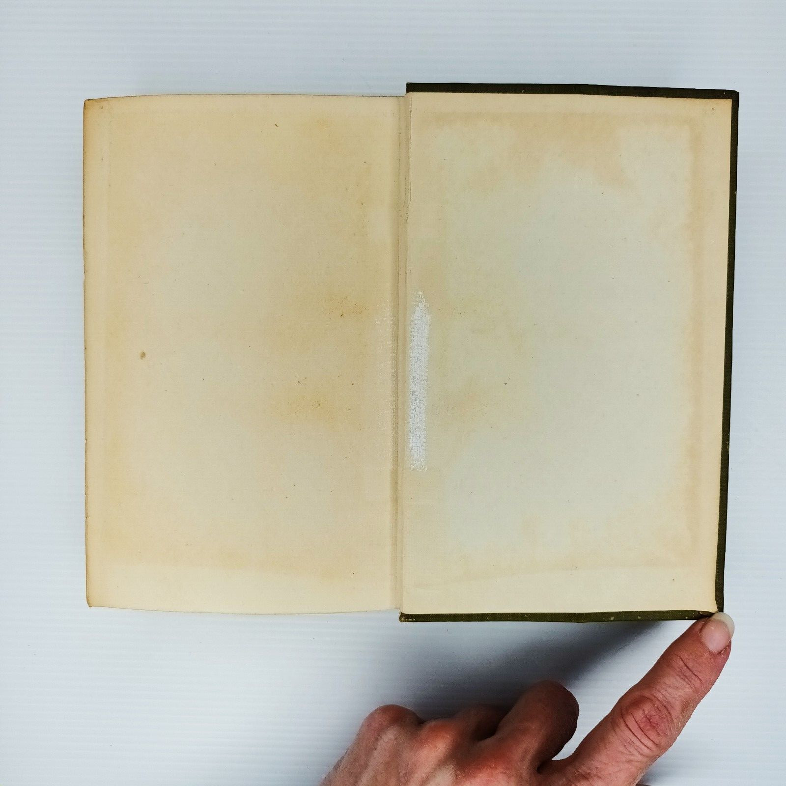 Mr Ingleside. E.V. Lucas. 1911. Ninth Edition. Max Teichmann Ex-Libris label.