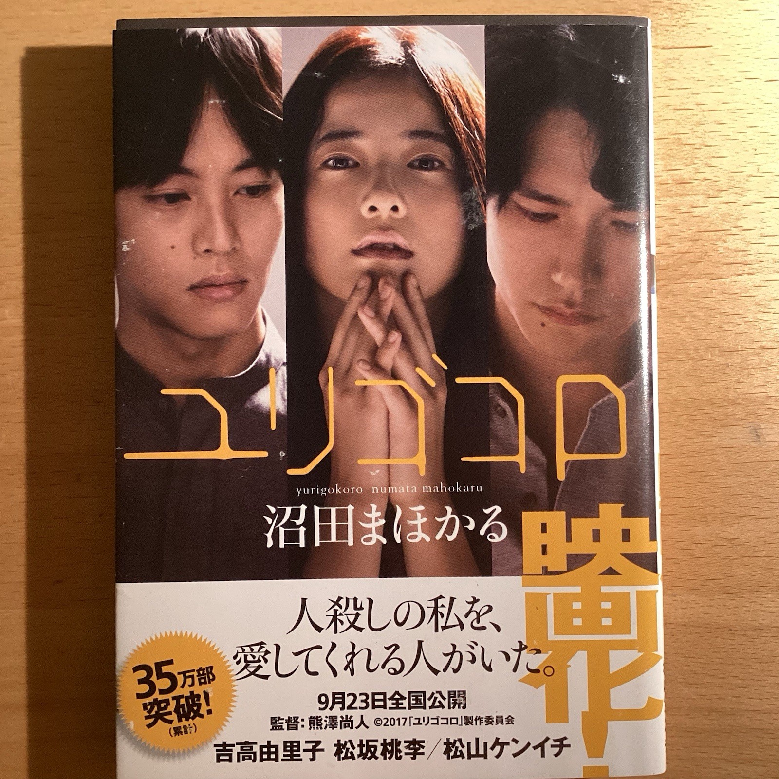 Japanese Novel “ユリゴコロ” by 沼田　まほかる