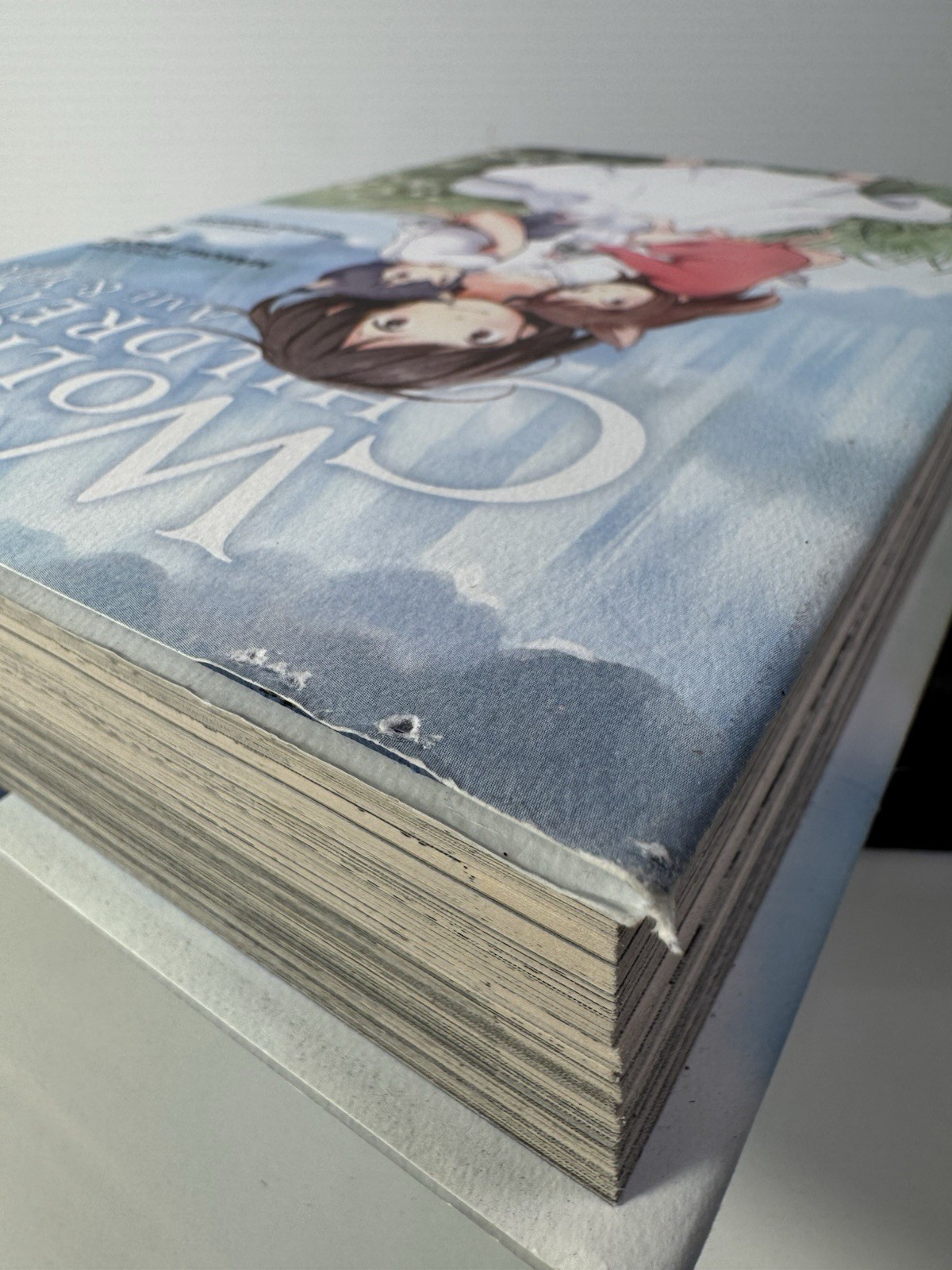 Mamoru Hosoda’s “ Wolf Children Ame & Yuki “ March/2014 First Yen Press Edition