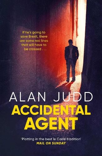 Alan Judd Accidental Agent (Paperback) (UK IMPORT)