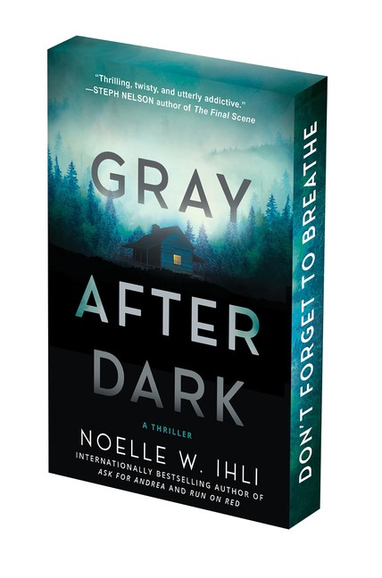 Gray After Dark: Deluxe Stenciled Edges Paperback by Noelle West Ihli