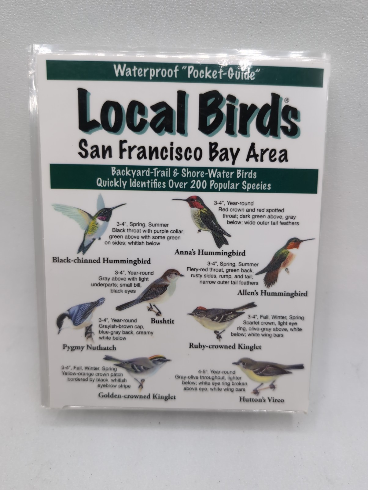 Local Birds of the San Francisco Bay Area: Laminated