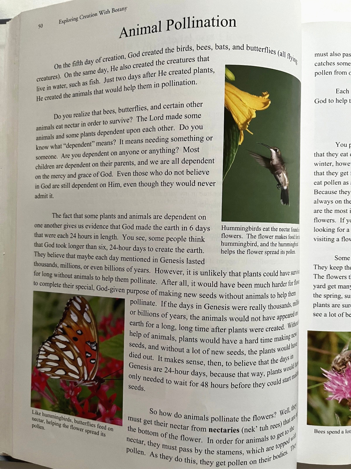 Exploring Creation with Botany, Textbook by Jeannie Fulbright