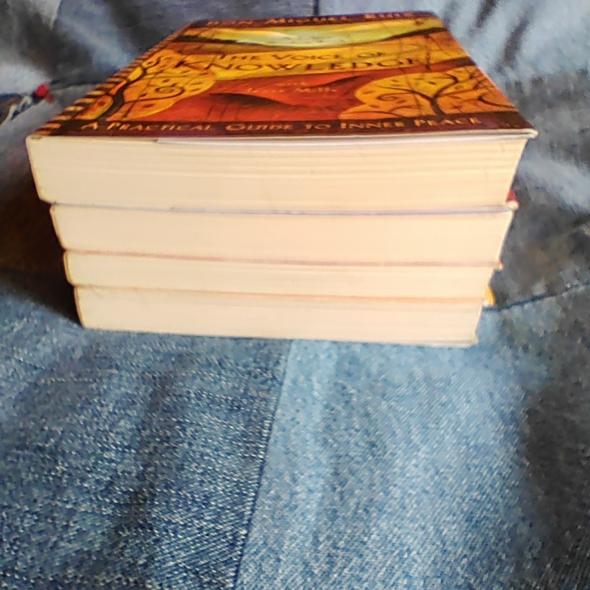 Don Miguel Ruiz Toltec Wisdom Paperback Set of 3 + Four Agreements Companion PB
