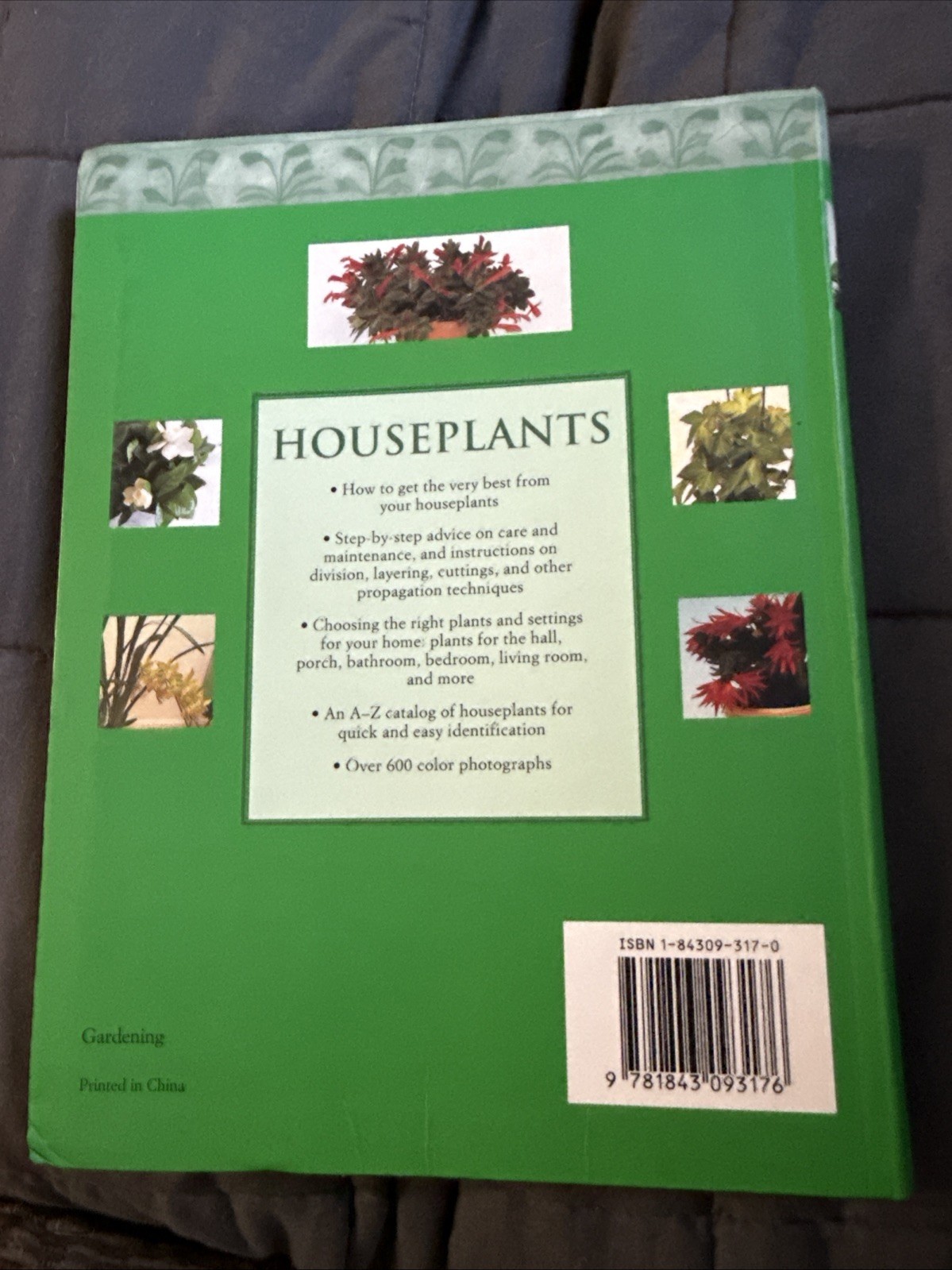 Caring for Your Houseplants (Practical Handbook) By Peter McHoy.