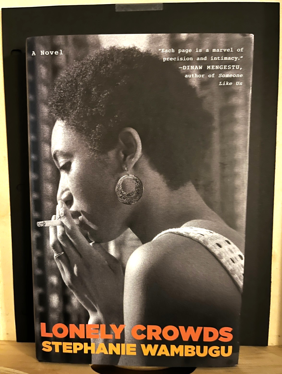 Lonely Crowds: A Novel by Stephanie Wambugu Hardcover Book