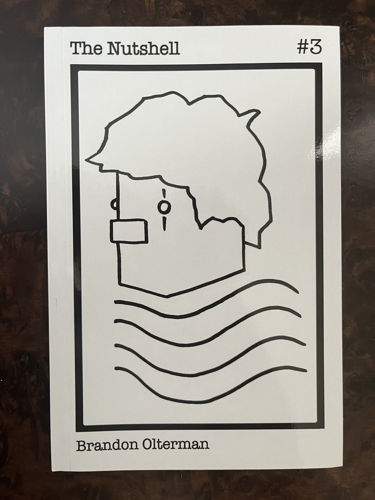 The Nutshell #3, Great Condition! A Zine of Comics Poetry and Doodles, 50 Pages!