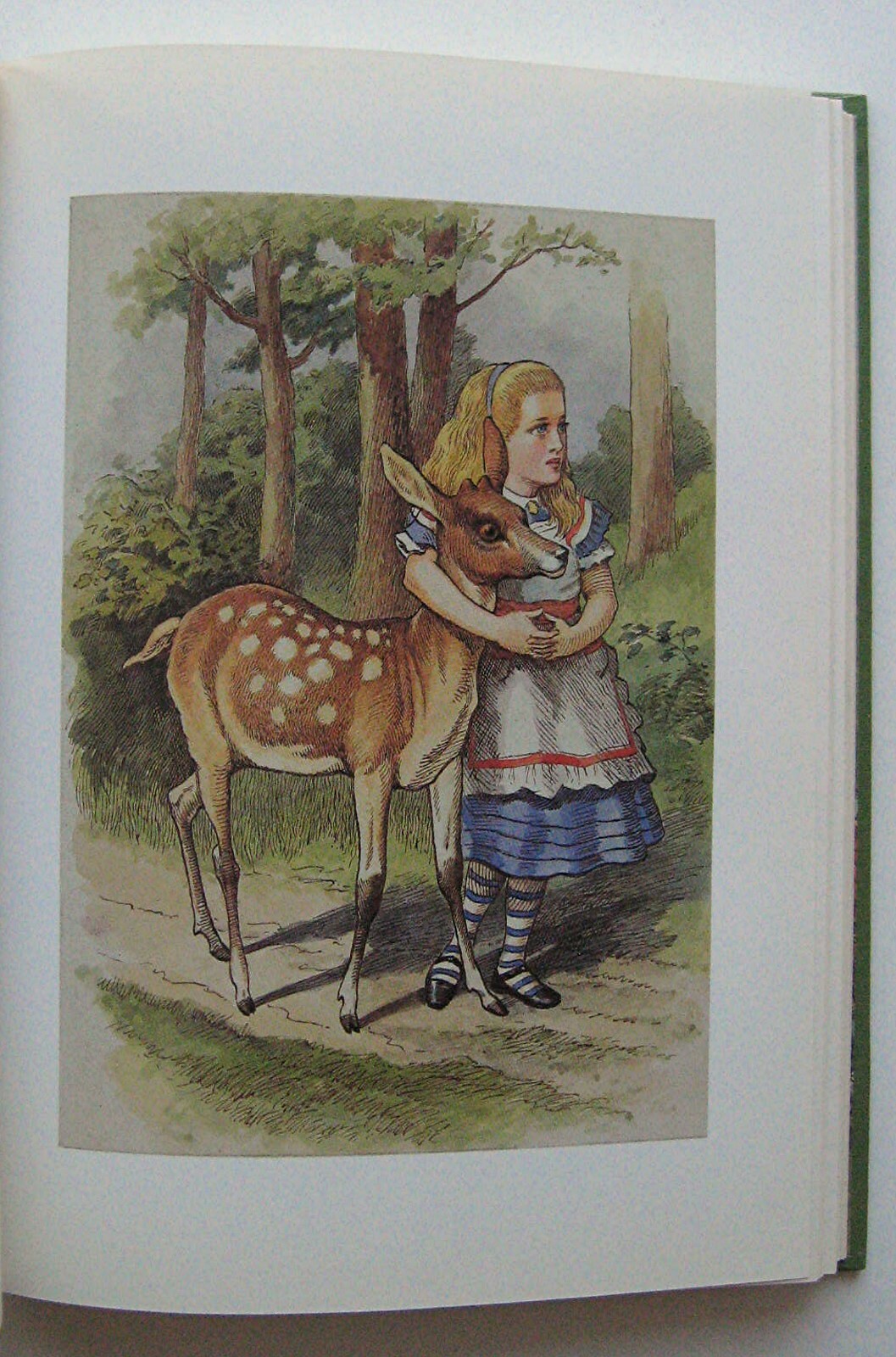 THROUGH THE LOOKING-GLASS Lewis Carroll ILLUS Sir John Tenniel HC DJ 1977 1st X1