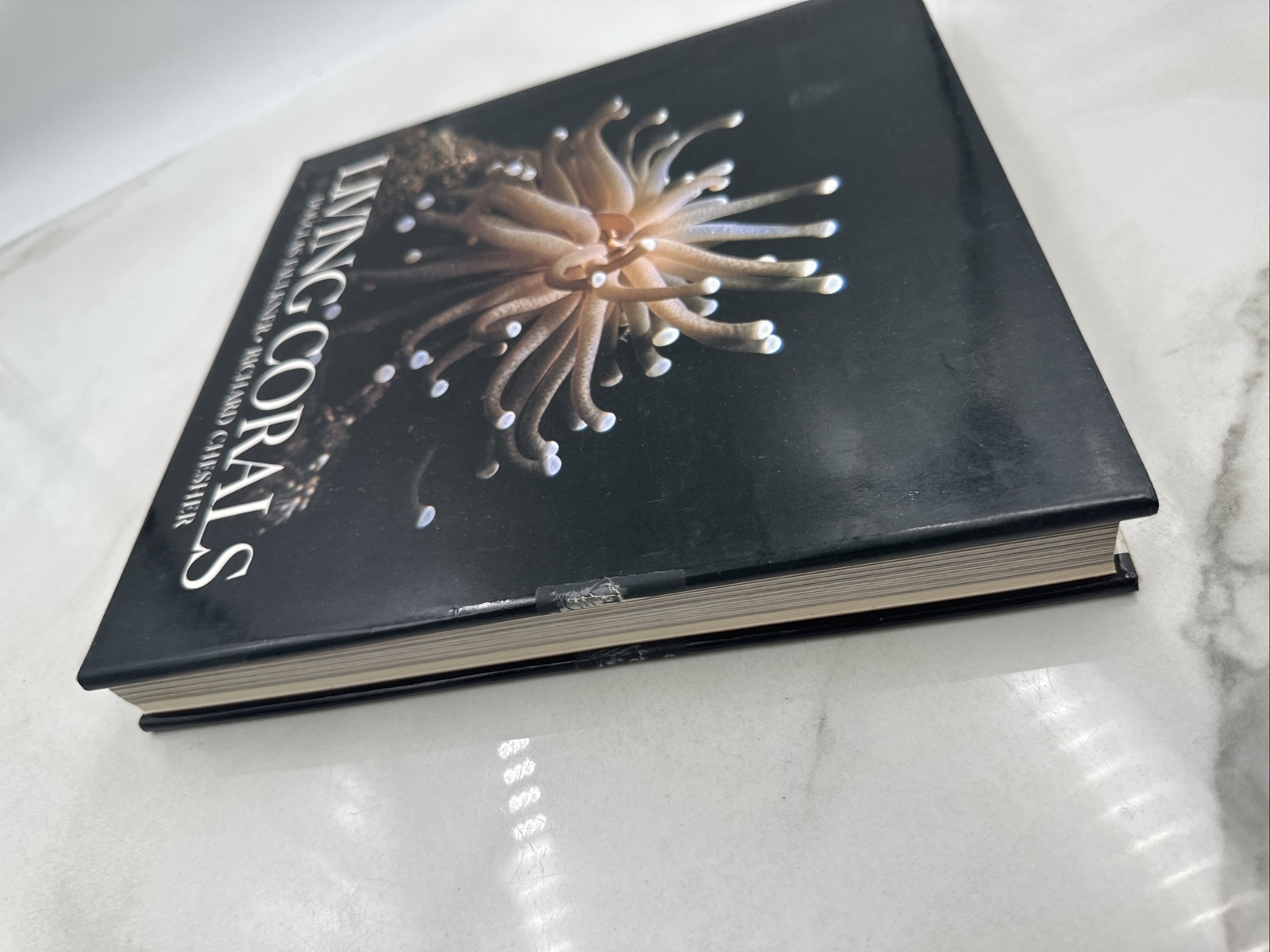 Living Corals Hardback Book CoffeeTable Faulkner, Douglas and Richard Cheshner