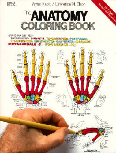 The Anatomy Coloring Book – Paperback By Kapit, Wynn – ACCEPTABLE