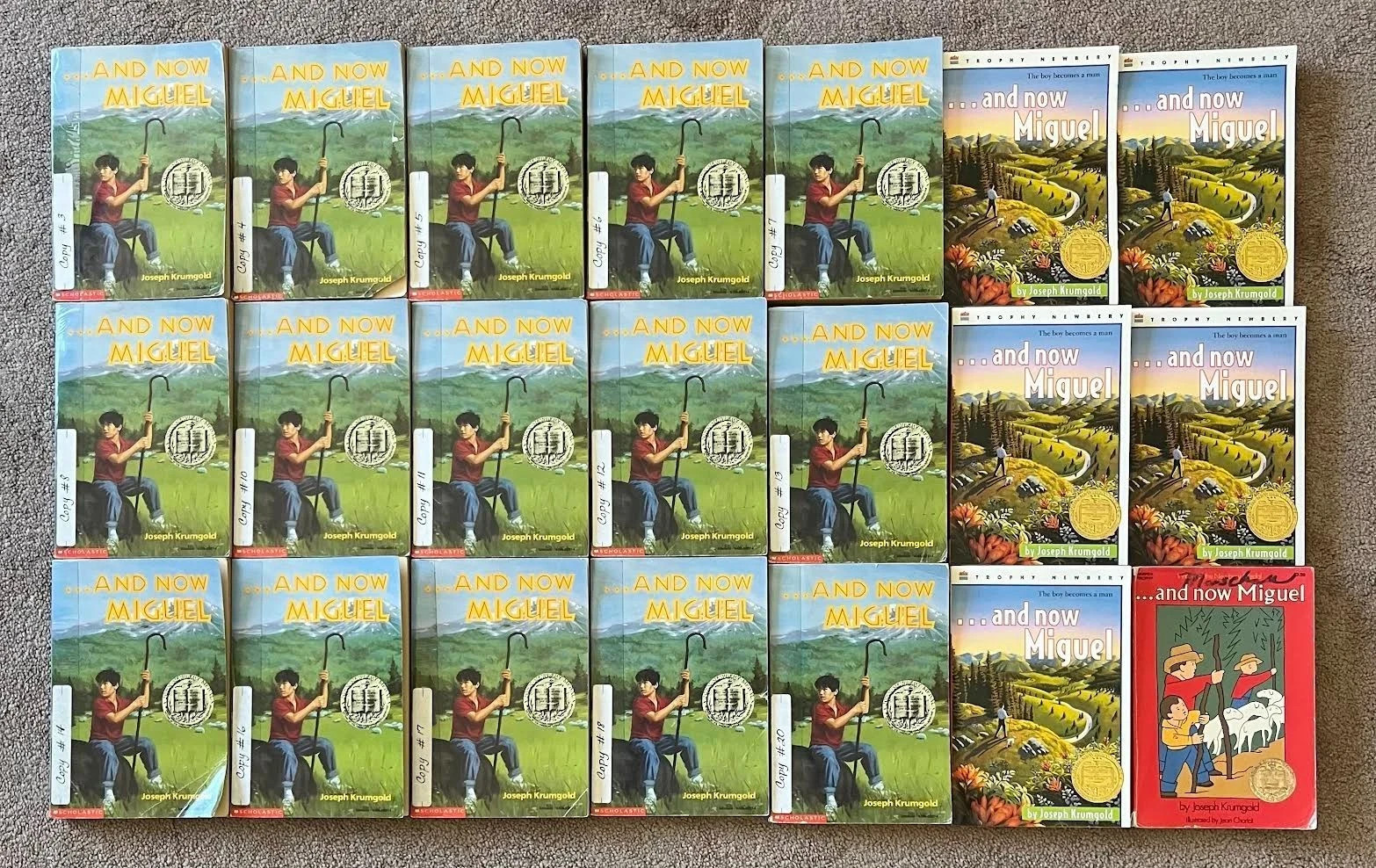 YOU PICK Class Set Teacher Lot Childrens Chapter Guided Reading Book LOWER PRICE