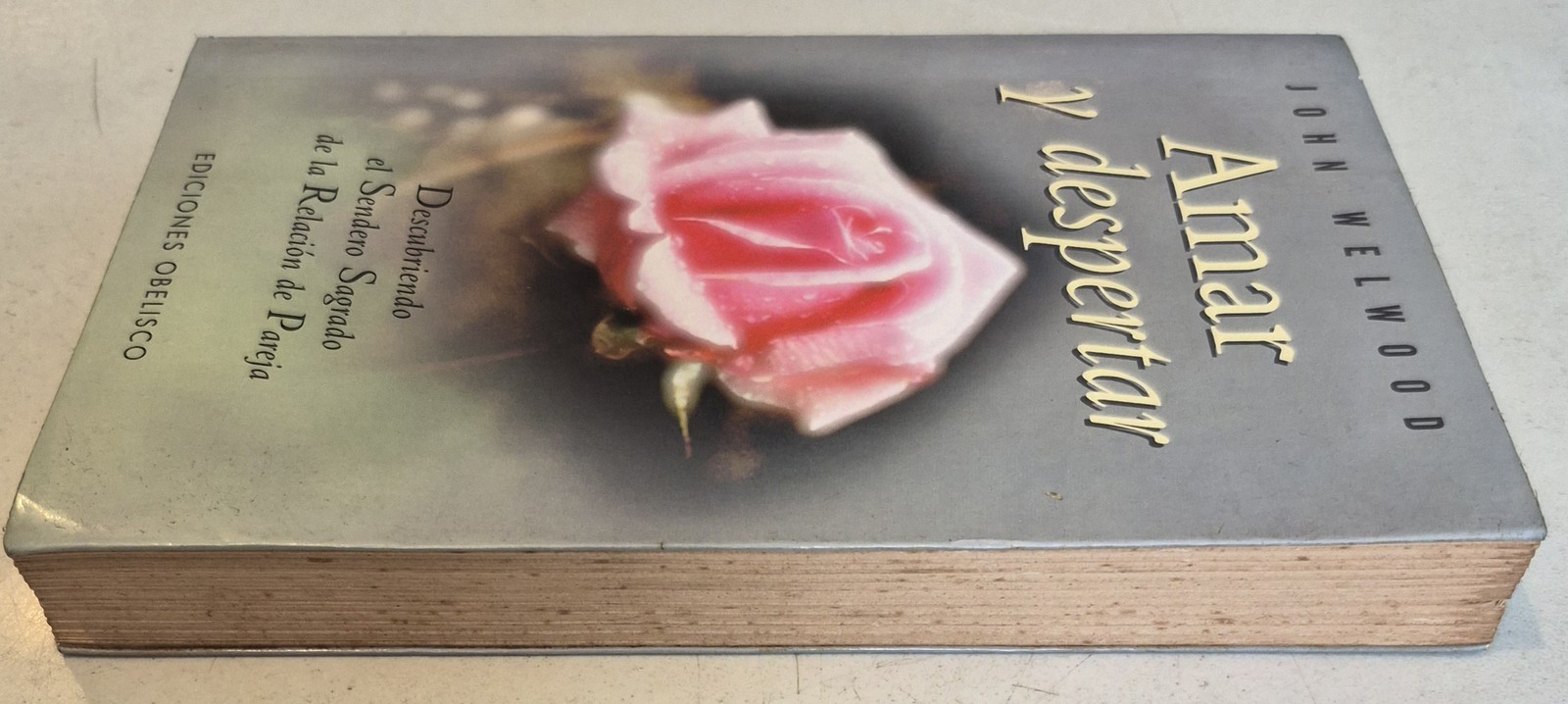 Amar y despertar (Spanish Edition)