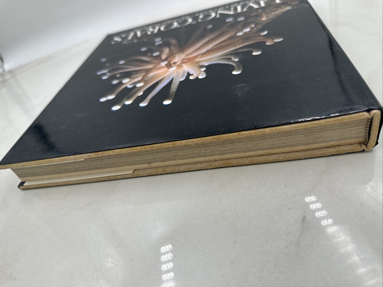 Living Corals Hardback Book CoffeeTable Faulkner, Douglas and Richard Cheshner