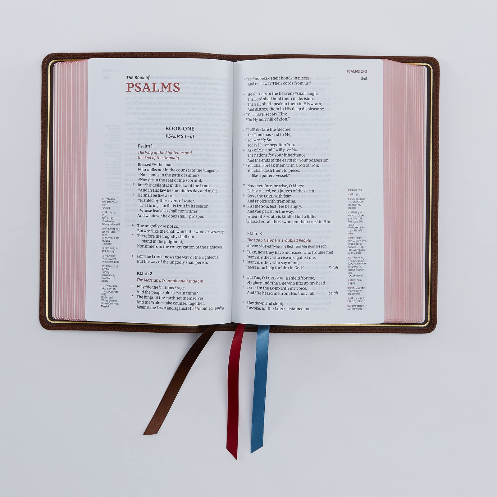 NKJV, Single-Column Reference Bible, Genuine Leather, Blue, Comfort Print: Holy