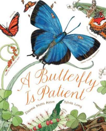 A Butterfly Is Patient – Paperback By Aston, Dianna – GOOD