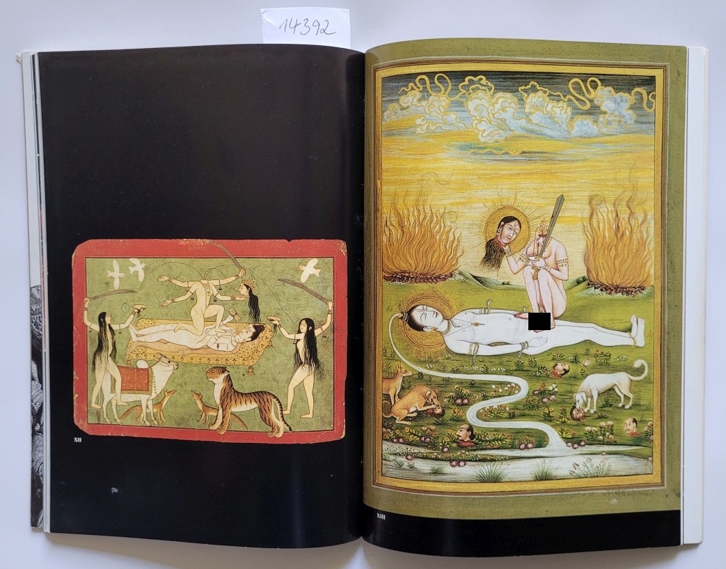 Kali – The Feminine Force : Mookerjee, Ajit: